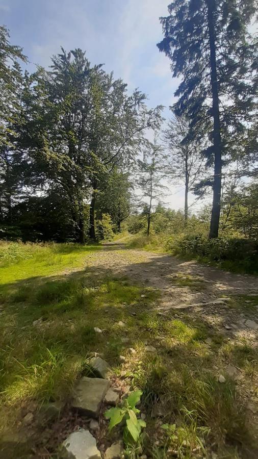 Ferienwohnung Apartament Spacerowo-Rowerowy Kamieniolom Kozy 60M2 Kozy Wielkie Exterior foto